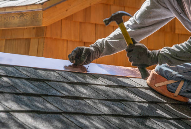 Best Sheet Metal Roofing  in Barnhart, MO